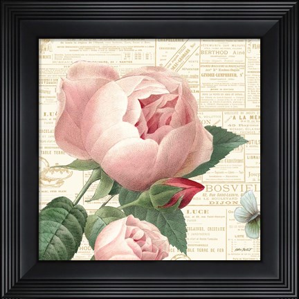 Framed Roses in Paris V Print