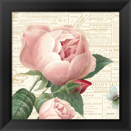 Framed Roses in Paris V Print