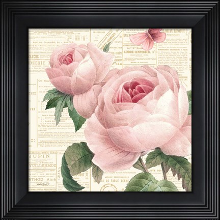 Framed Roses in Paris VI Print
