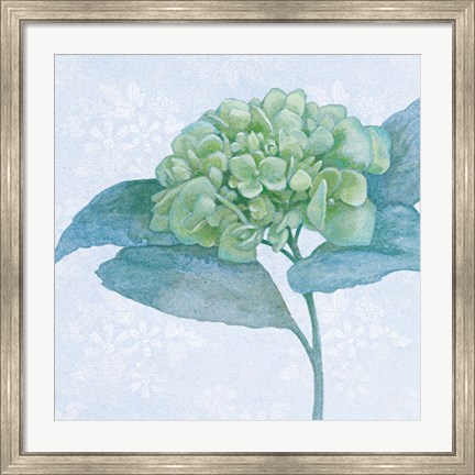 Framed Blue Hydrangea II Crop Print