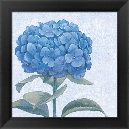 Framed Blue Hydrangea III Crop Print