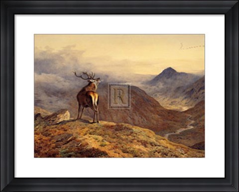 Framed Voices of the Forest (LE) Print