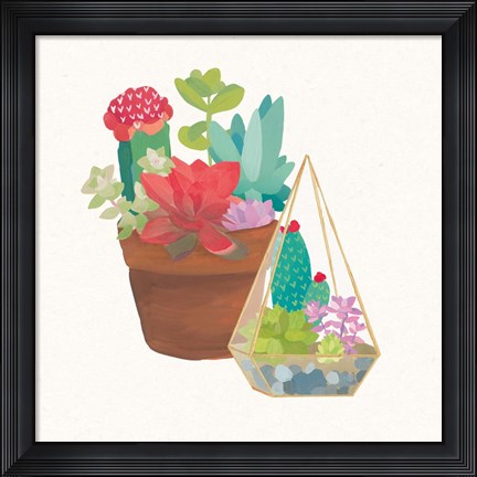 Framed Succulent Garden IV Print