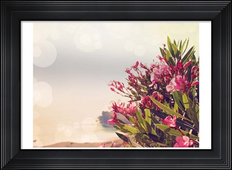 Framed Flowers in Paradise II Print