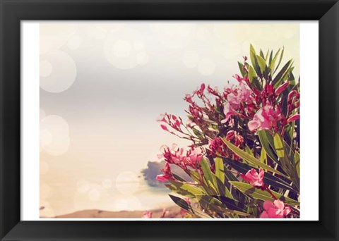 Framed Flowers in Paradise II Print