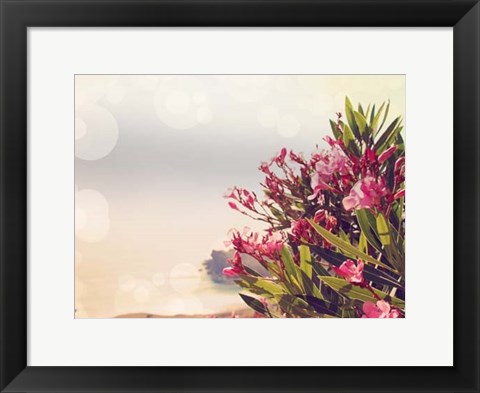 Framed Flowers in Paradise II Print