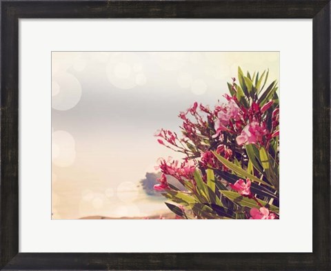 Framed Flowers in Paradise II Print