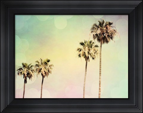Framed Palm Trees II Print