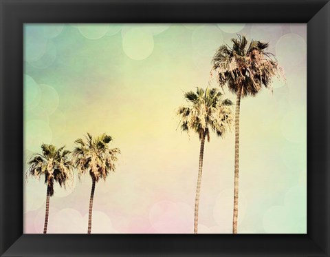 Framed Palm Trees II Print