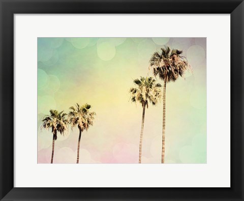 Framed Palm Trees II Print