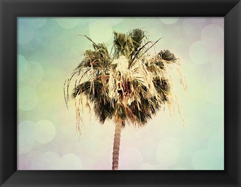 Framed Palm Trees III Print