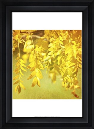 Framed Autumn Photography I Print