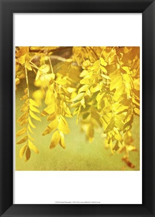 Framed Autumn Photography I Print