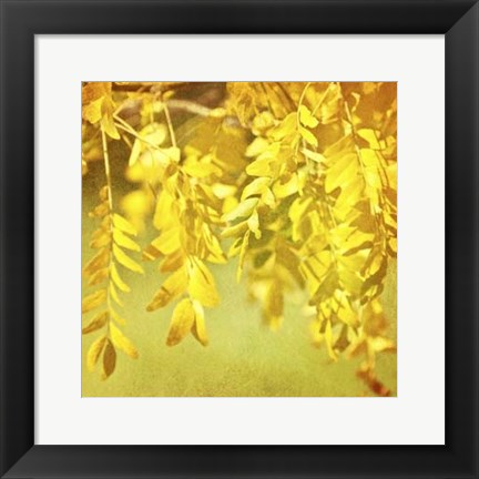 Framed Autumn Photography I Print