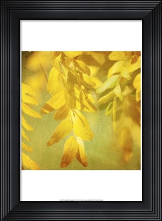 Framed Autumn Photography II Print