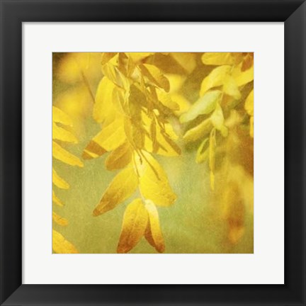 Framed Autumn Photography II Print