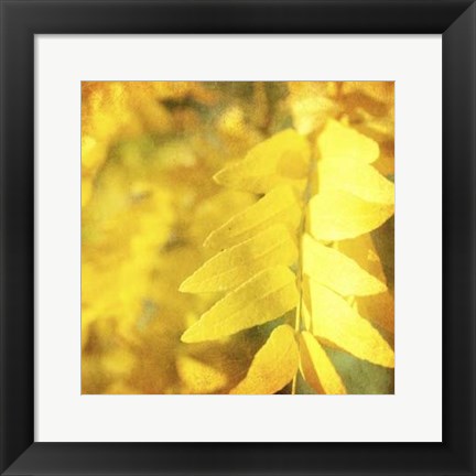 Framed Autumn Photography III Print