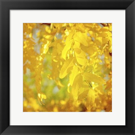 Framed Autumn Photography IV Print