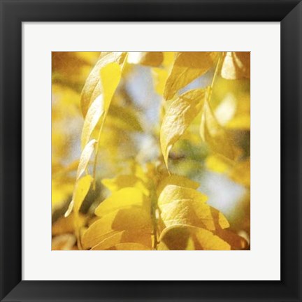 Framed Autumn Photography V Print