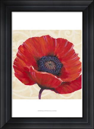 Framed Red Poppy I Print