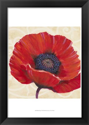 Framed Red Poppy I Print