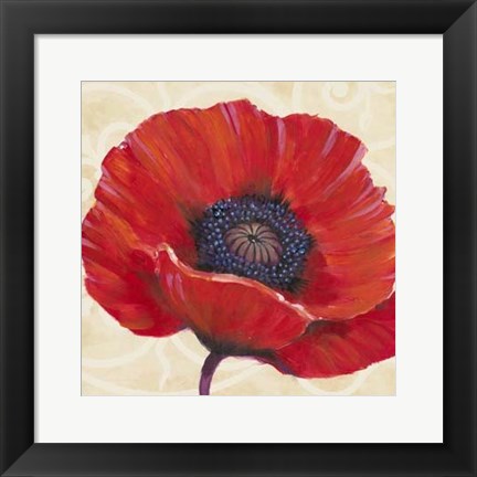 Framed Red Poppy I Print