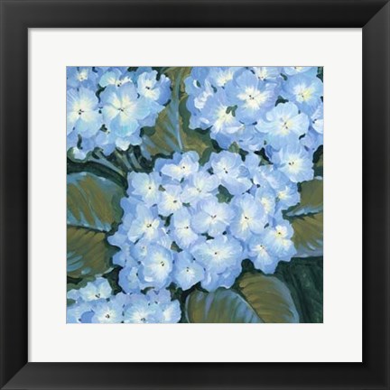 Framed Blue Hydrangeas I Print