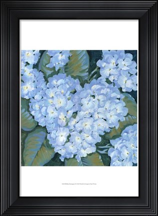 Framed Blue Hydrangeas II Print