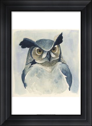 Framed Midnight Aves I Print