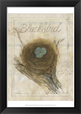 Framed Nest - Blackbird Print