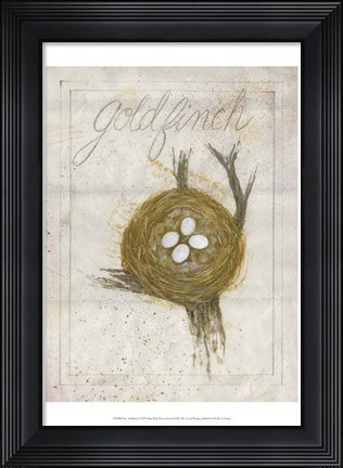 Framed Nest - Goldfinch Print