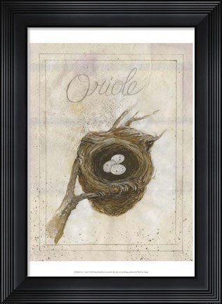 Framed Nest - Oriole Print