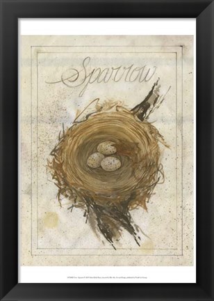 Framed Nest - Sparrow Print