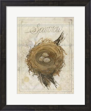 Framed Nest - Sparrow Print