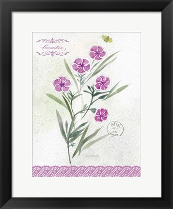 Framed Flower Study on Lace III Print