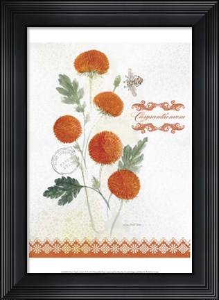 Framed Flower Study on Lace IV Print