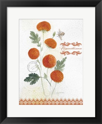 Framed Flower Study on Lace IV Print