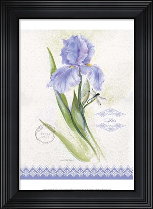 Framed Flower Study on Lace VII Print