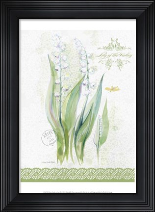 Framed Flower Study on Lace IX Print