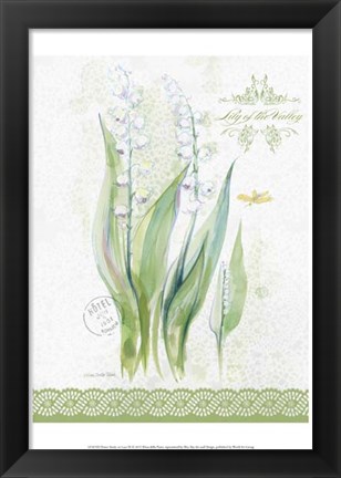 Framed Flower Study on Lace IX Print