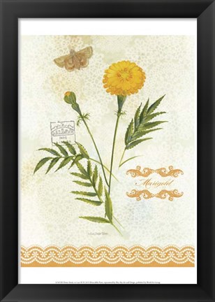 Framed Flower Study on Lace XI Print