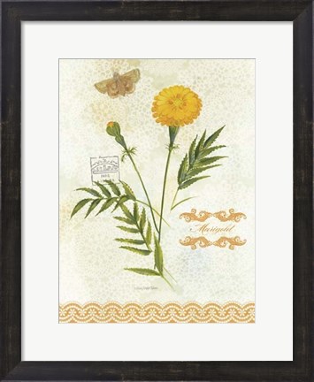 Framed Flower Study on Lace XI Print