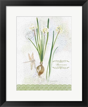 Framed Flower Study on Lace XII Print