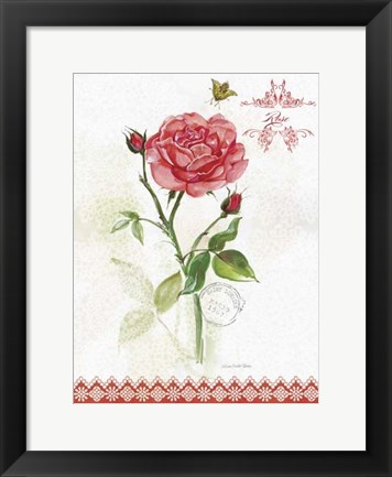 Framed Flower Study on Lace XIII Print