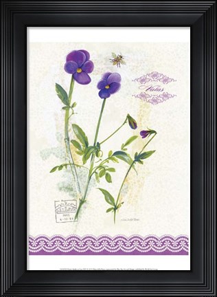 Framed Flower Study on Lace XIV Print