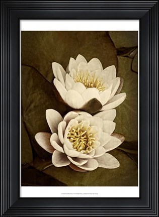 Framed Lily Pad Duo Print