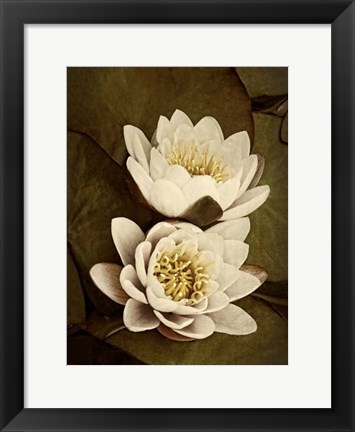 Framed Lily Pad Duo Print