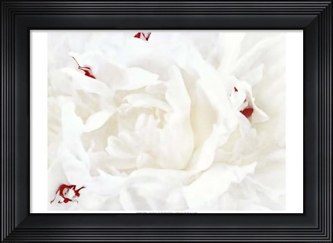 Framed White Linen Peony I Print
