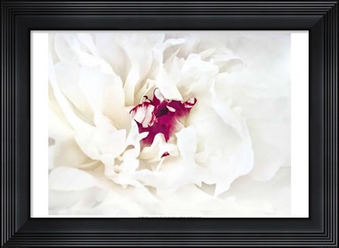 Framed White Linen Peony II Print