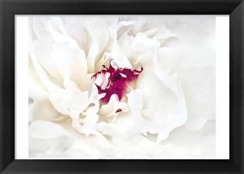 Framed White Linen Peony II Print